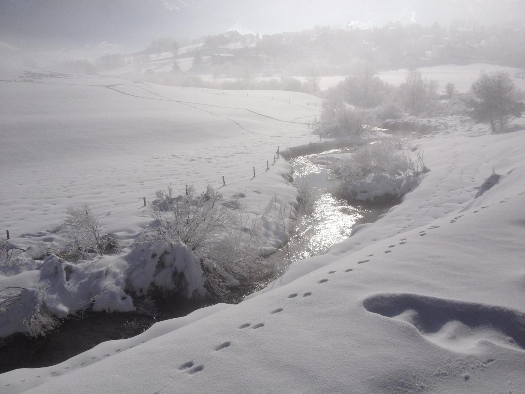 Ferme De La Grande Moucherolle Villard-de-Lans Dış mekan fotoğraf