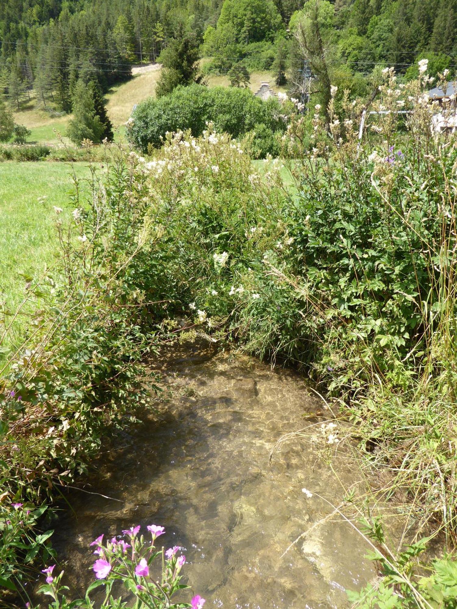 Ferme De La Grande Moucherolle Villard-de-Lans Oda fotoğraf