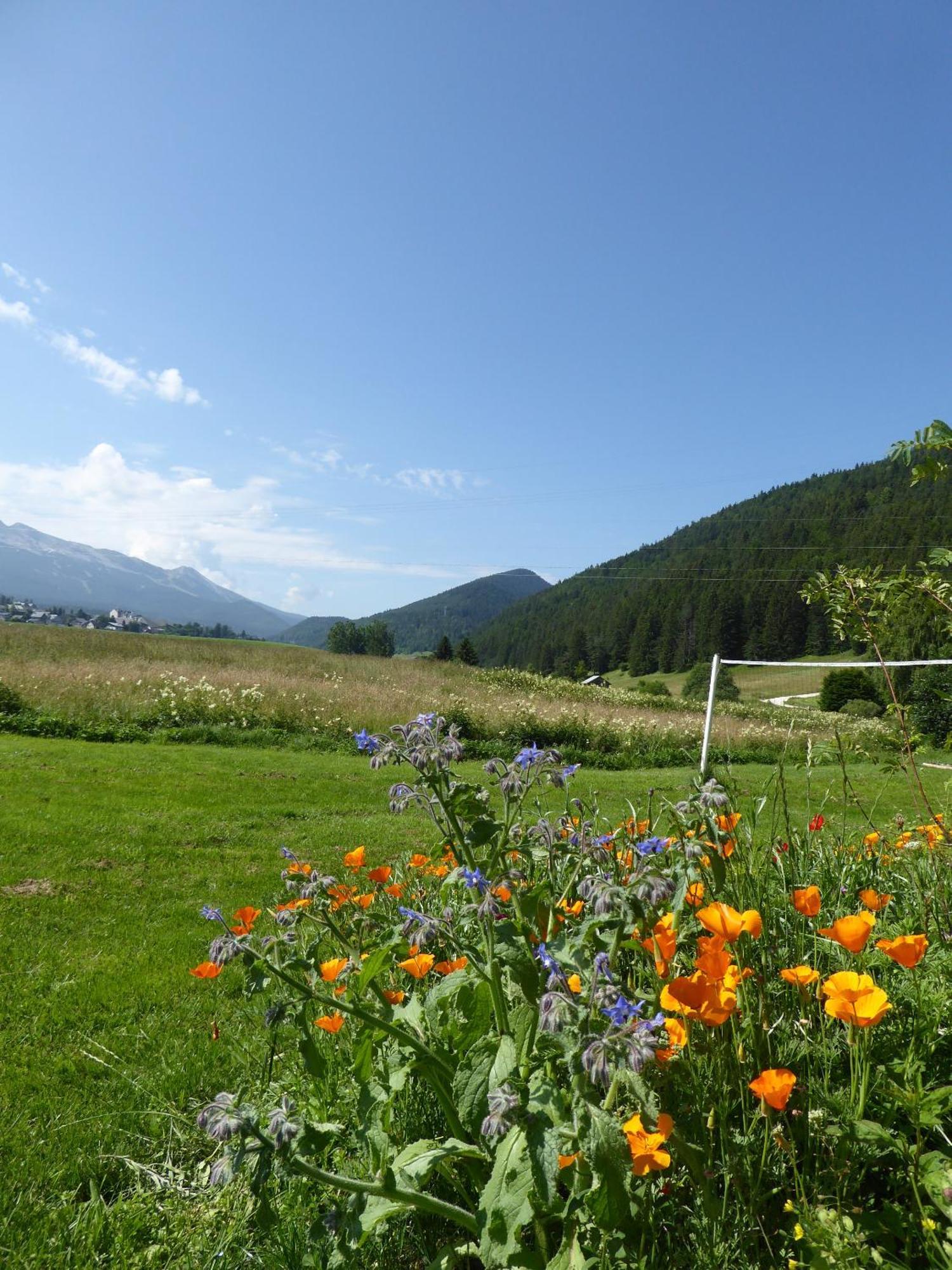 Ferme De La Grande Moucherolle Villard-de-Lans Dış mekan fotoğraf